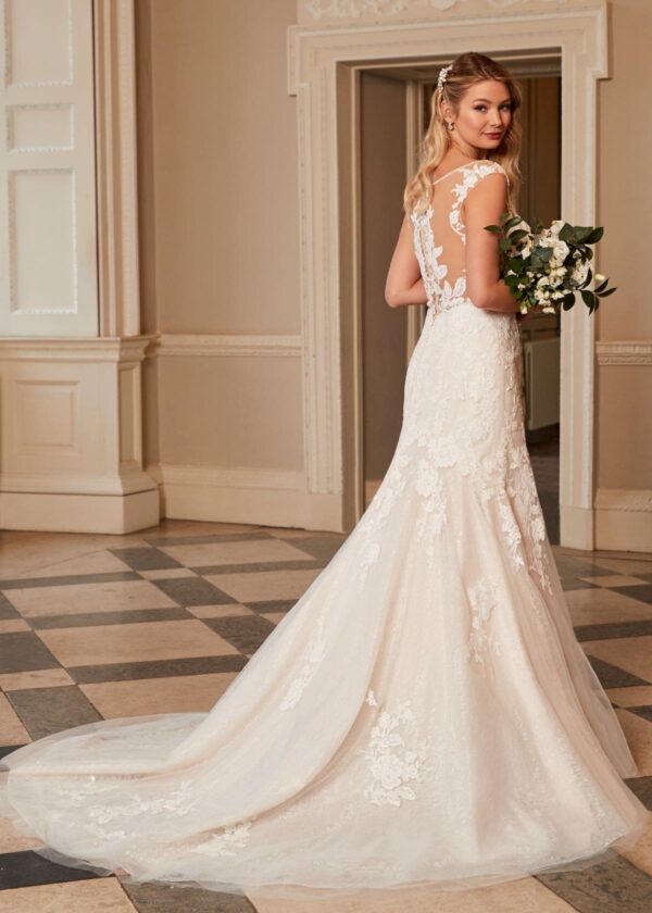 Maddox Romantica of Devon