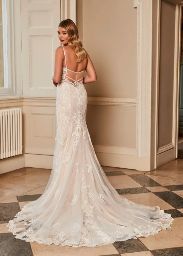 Selby Romantica of Devon