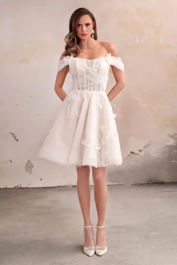 Brinley DSC003 Donna Salado wedding dress mini